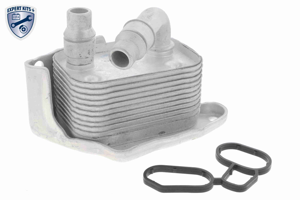 Oil Cooler, engine oil - V20-60-0031