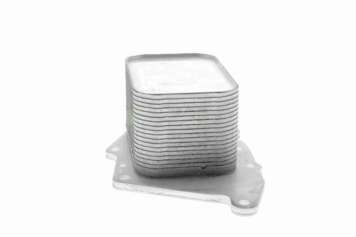 Oil Cooler, engine oil - V20-60-0048