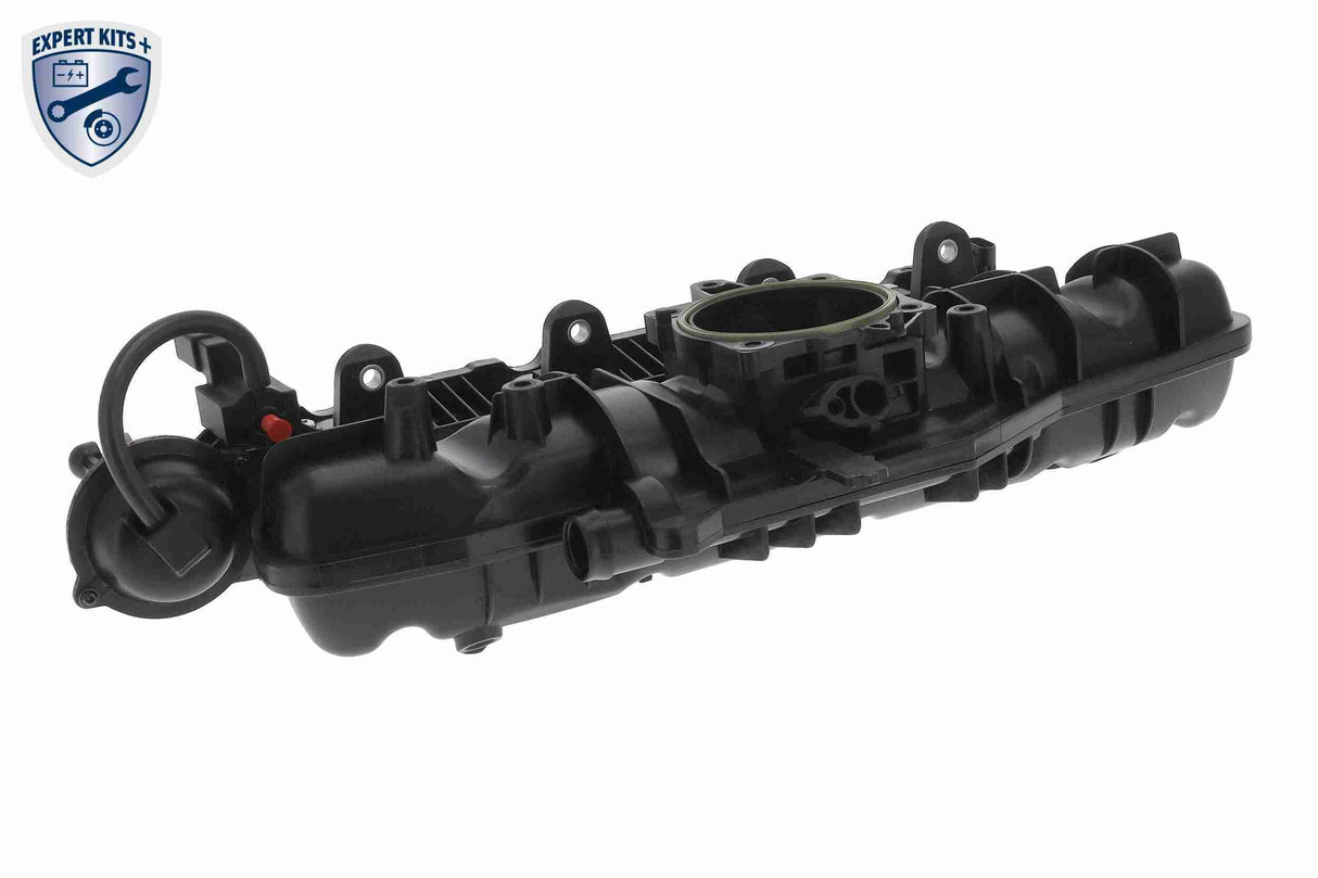 Intake Manifold Module - V10-6723