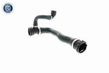 Radiator Hose - V20-1284