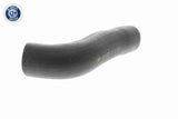 Charge Air Hose - V20-1624