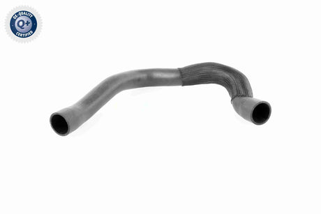 Charge Air Hose - V24-0679