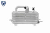 Oil Cooler, engine oil - V20-60-0001