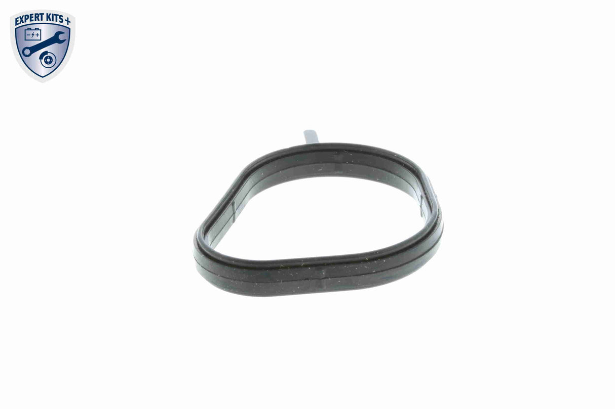 Thermostat, coolant - V25-99-1706