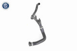 Radiator Hose - V24-1112