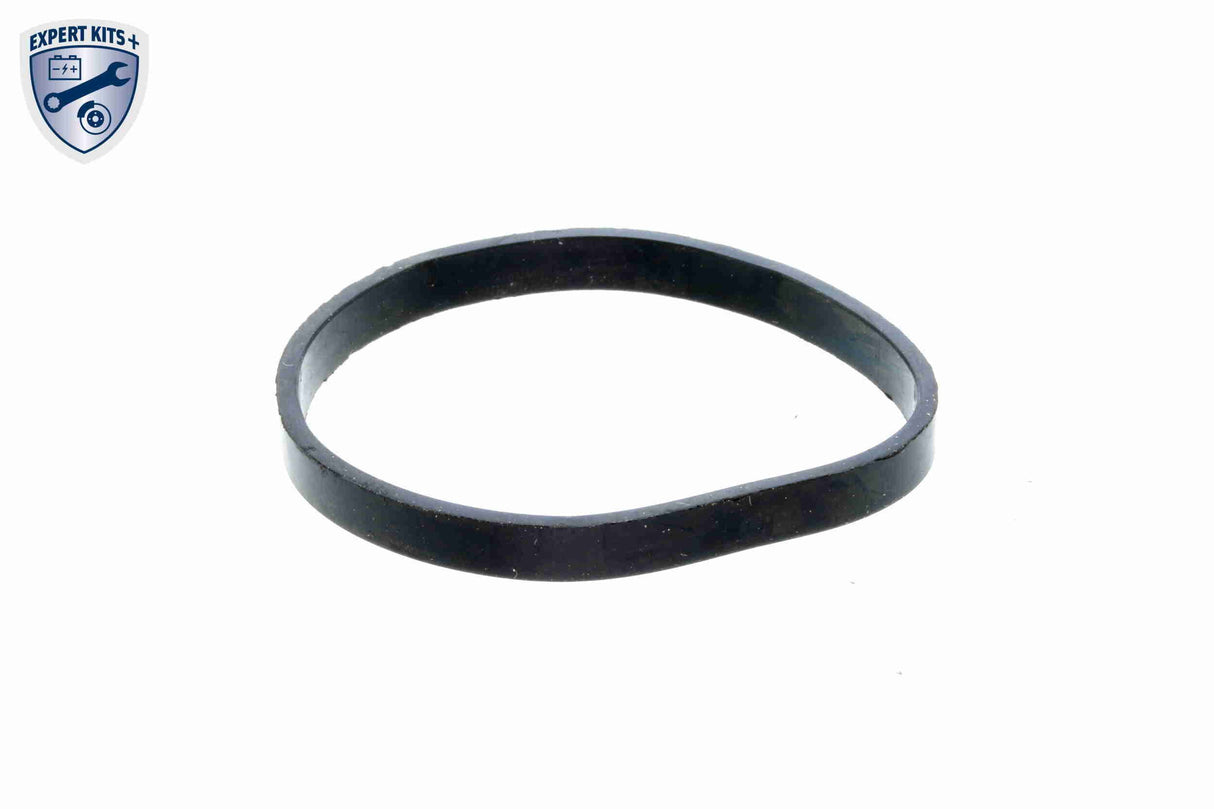 Thermostat Housing - V46-99-1363