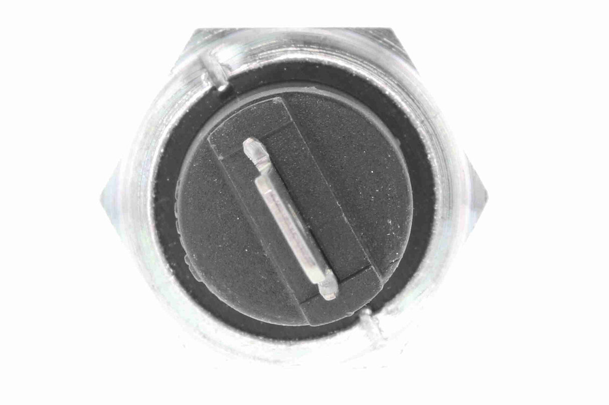 Oil Pressure Switch - V24-73-0031