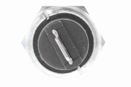 Oil Pressure Switch - V24-73-0031