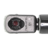 NISSAN Gas Spring, boot/cargo area  - ACKOJA A38-0126