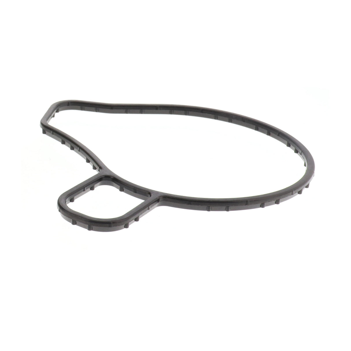 TOYOTA Water Pump, engine cooling  - ACKOJA A70-50033