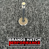 Ford Pinto 2.0 Capri Cortina Sierra OHC Freccia Inlet Valve / Valves