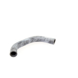 VW Radiator Hose  - VAICO V10-0065