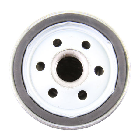 VW Oil Filter  - VAICO V10-0315