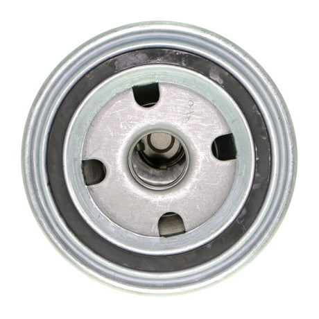 VW Oil Filter  - VAICO V10-0316