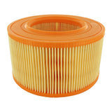 VW Air Filter  - VAICO V10-0603