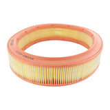 VW Air Filter  - VAICO V10-0604