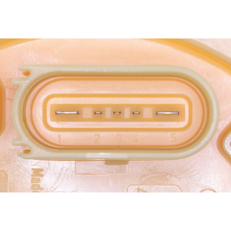 VW Fuel Feed Unit 4F0 919 088 Q - VEMO V10-09-0833