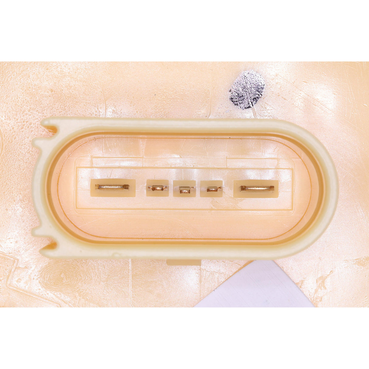 VW Fuel Feed Unit 6R0 919 050 H - VEMO V10-09-1268