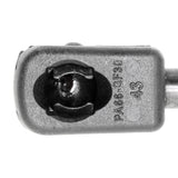 VW Gas Spring, bonnet  - VAICO V10-1965