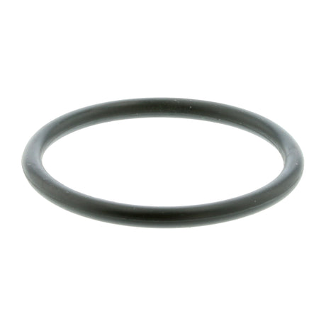 VW Hydraulic Filter, automatic transmission  - VAICO V10-2359