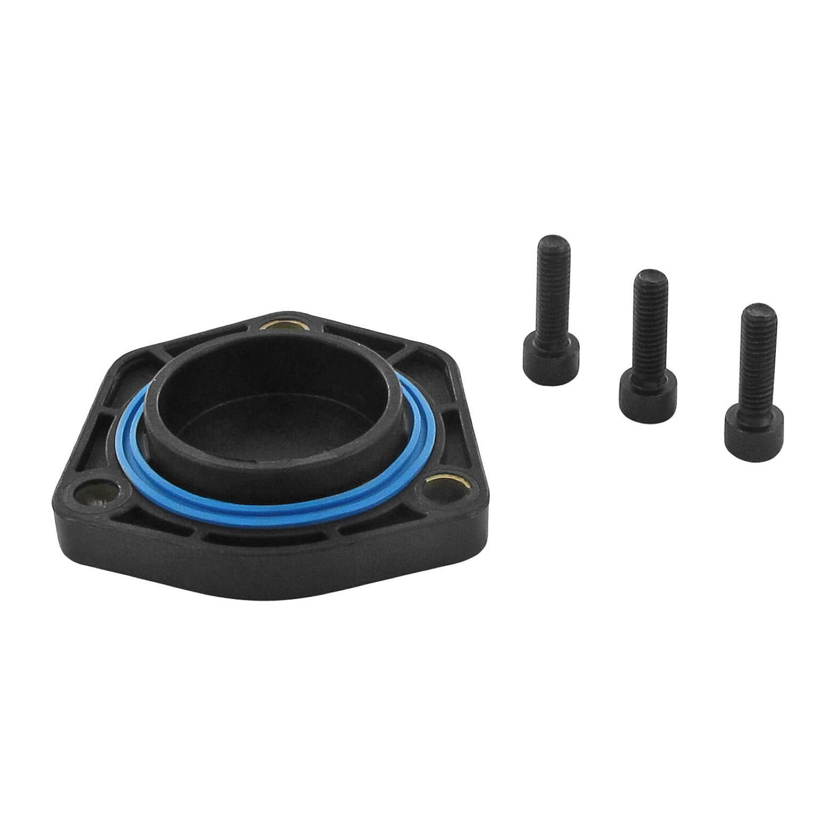 VW Gasket, oil sump  - VAICO V10-2638