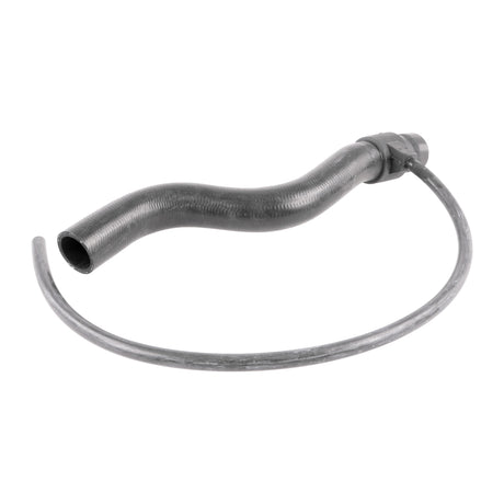 VW Radiator Hose  - VAICO V10-3198