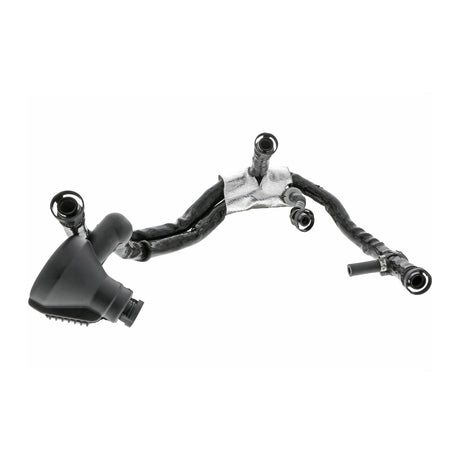 VW Hose, crankcase ventilation  - VAICO V10-3695