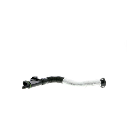 VW Hose, crankcase ventilation  - VAICO V10-3879