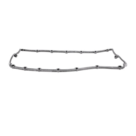 VW Gasket, cylinder head cover  - VAICO V10-4067