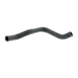 VW Hose, crankcase ventilation  - VAICO V10-4649
