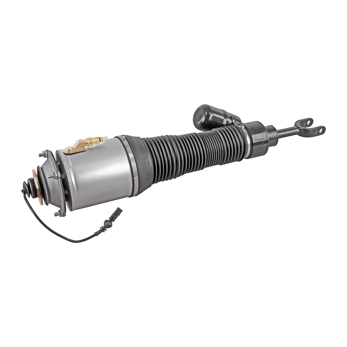 VW Air Suspension Strut  - VEMO V10-50-0019