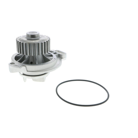 VW Water Pump, engine cooling  - VAICO V10-50031