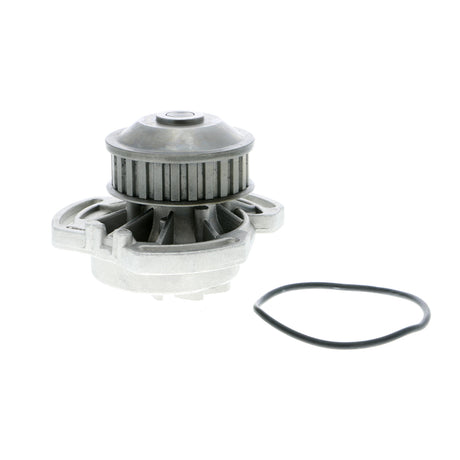VW Water Pump, engine cooling  - VAICO V10-50038