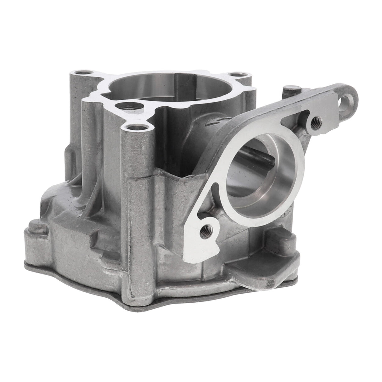 VW Vacuum Pump, braking system  - VAICO V10-5593