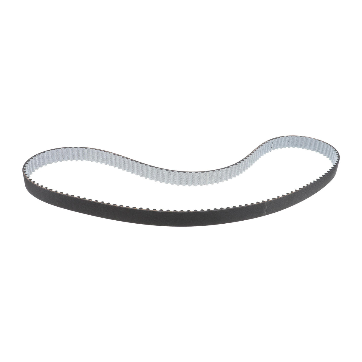 VW Water Pump & Timing Belt Kit  - VAICO V10-50113-BEK
