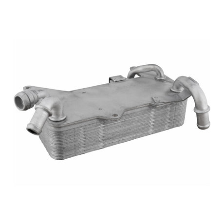 VW Oil Cooler, automatic transmission  - VEMO V10-60-0044