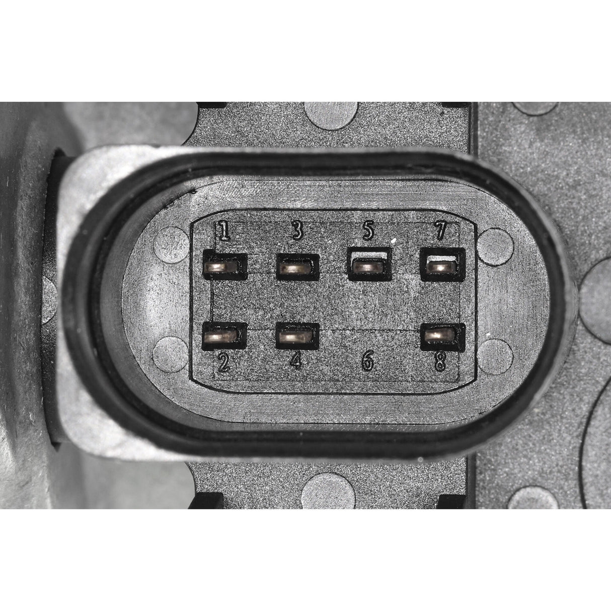 AUDI Throttle body  - VEMO V10-81-0005