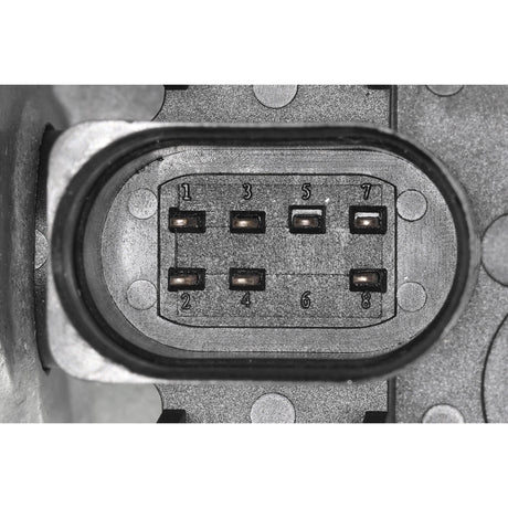 AUDI Throttle body  - VEMO V10-81-0005