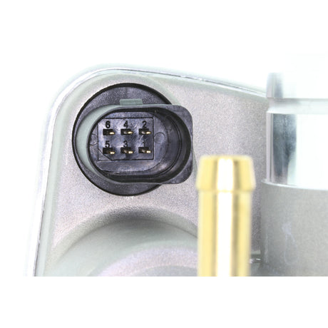 AUDI Throttle body  - VEMO V10-81-0021