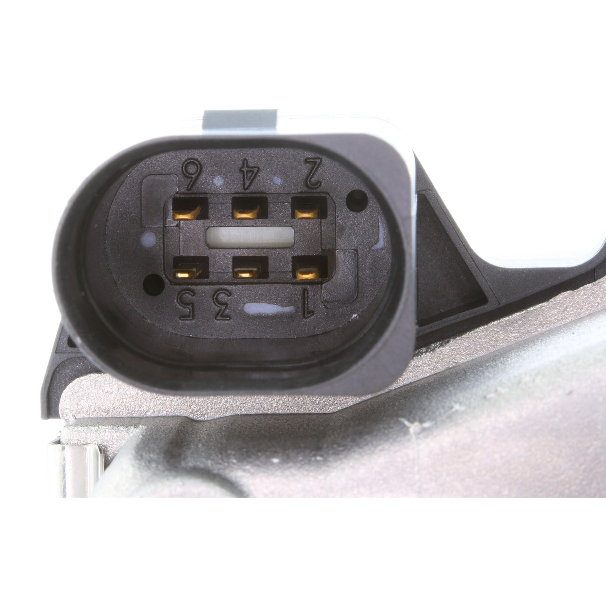 SKODA Throttle body  - VEMO V10-81-0065