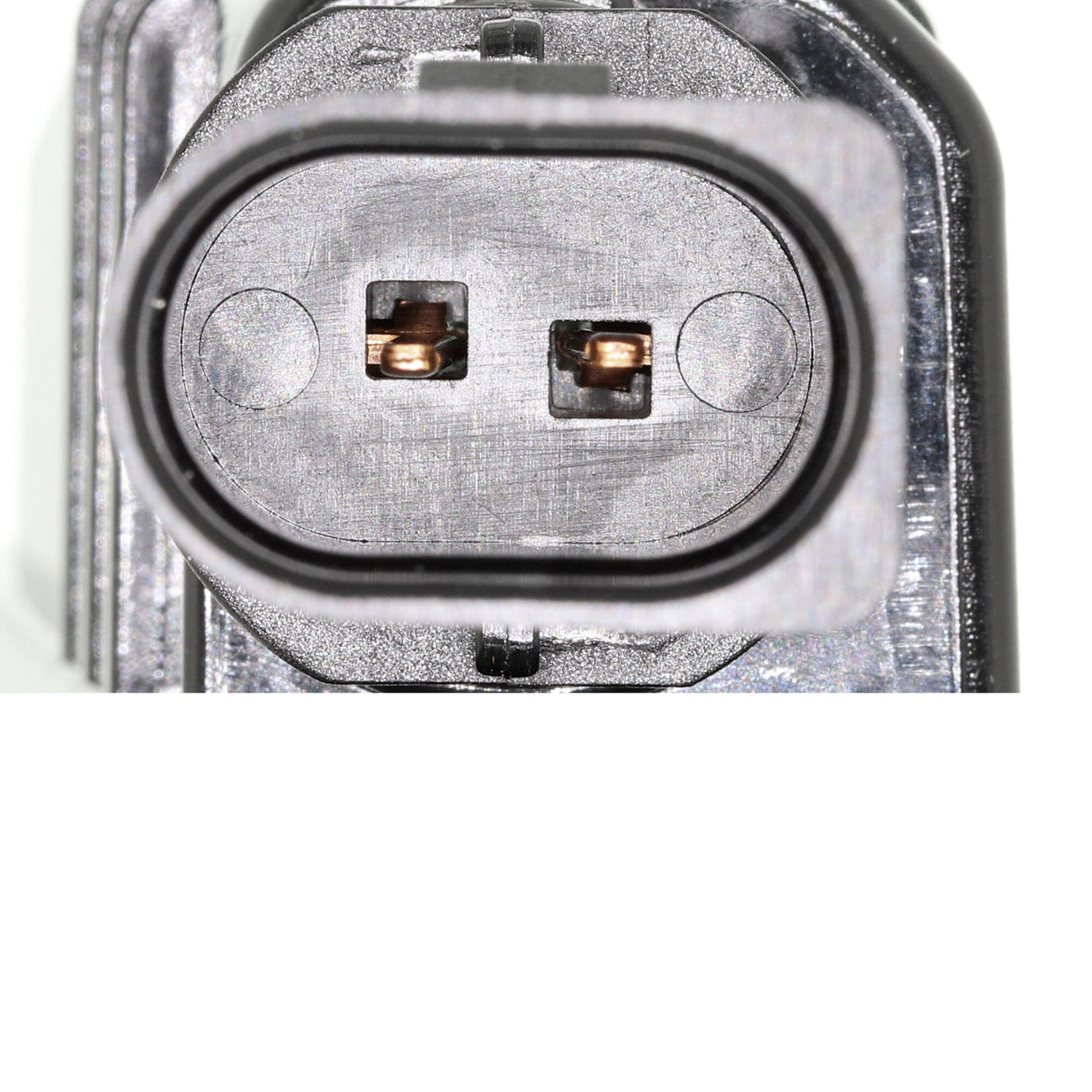 VW Licence Plate Light  - VEMO V10-84-0062