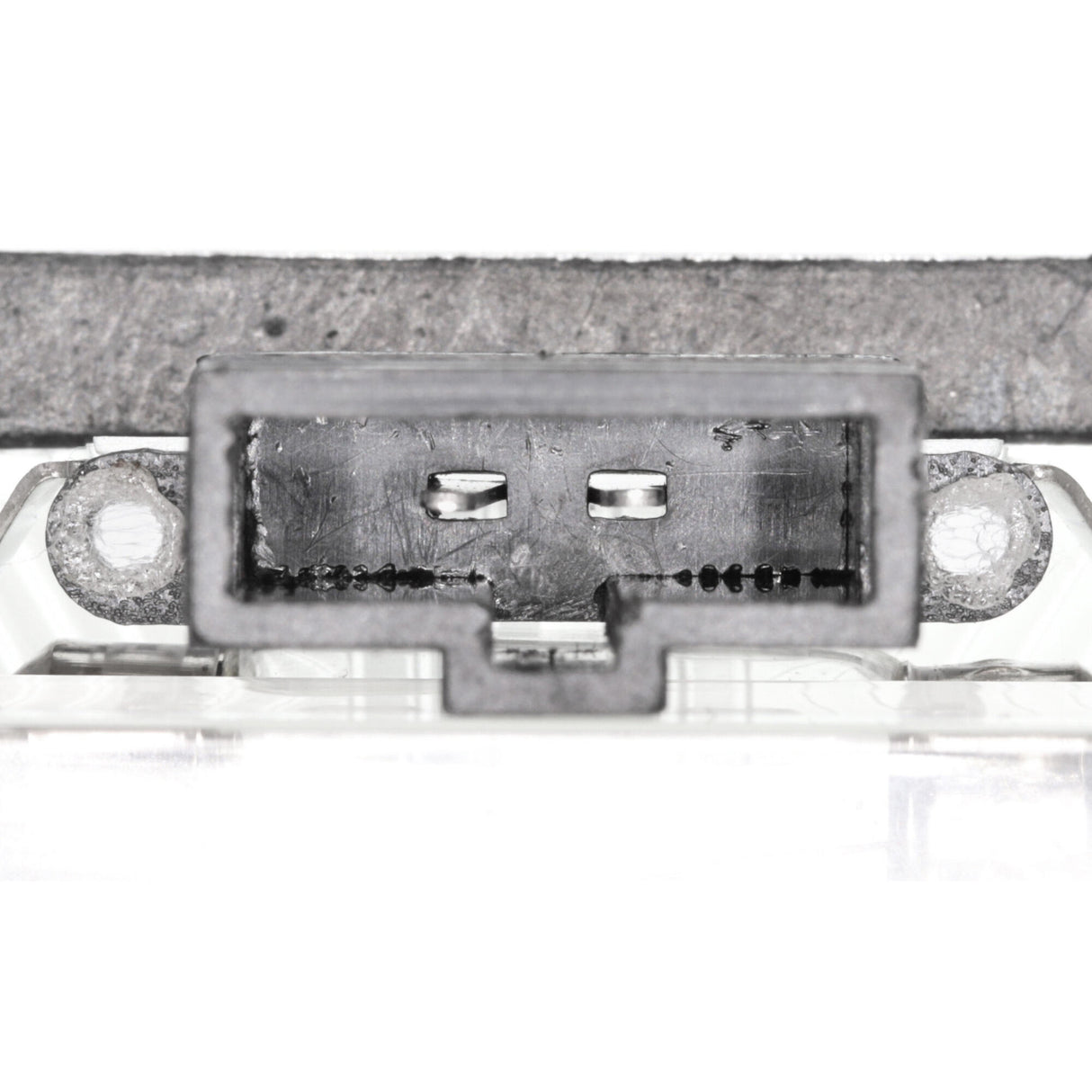 VW Licence Plate Light  - VEMO V10-84-0067
