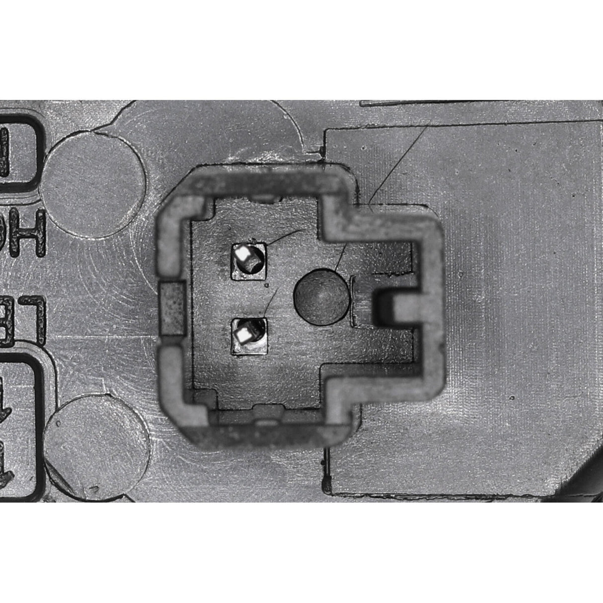 VW Licence Plate Light  - VEMO V10-84-0139