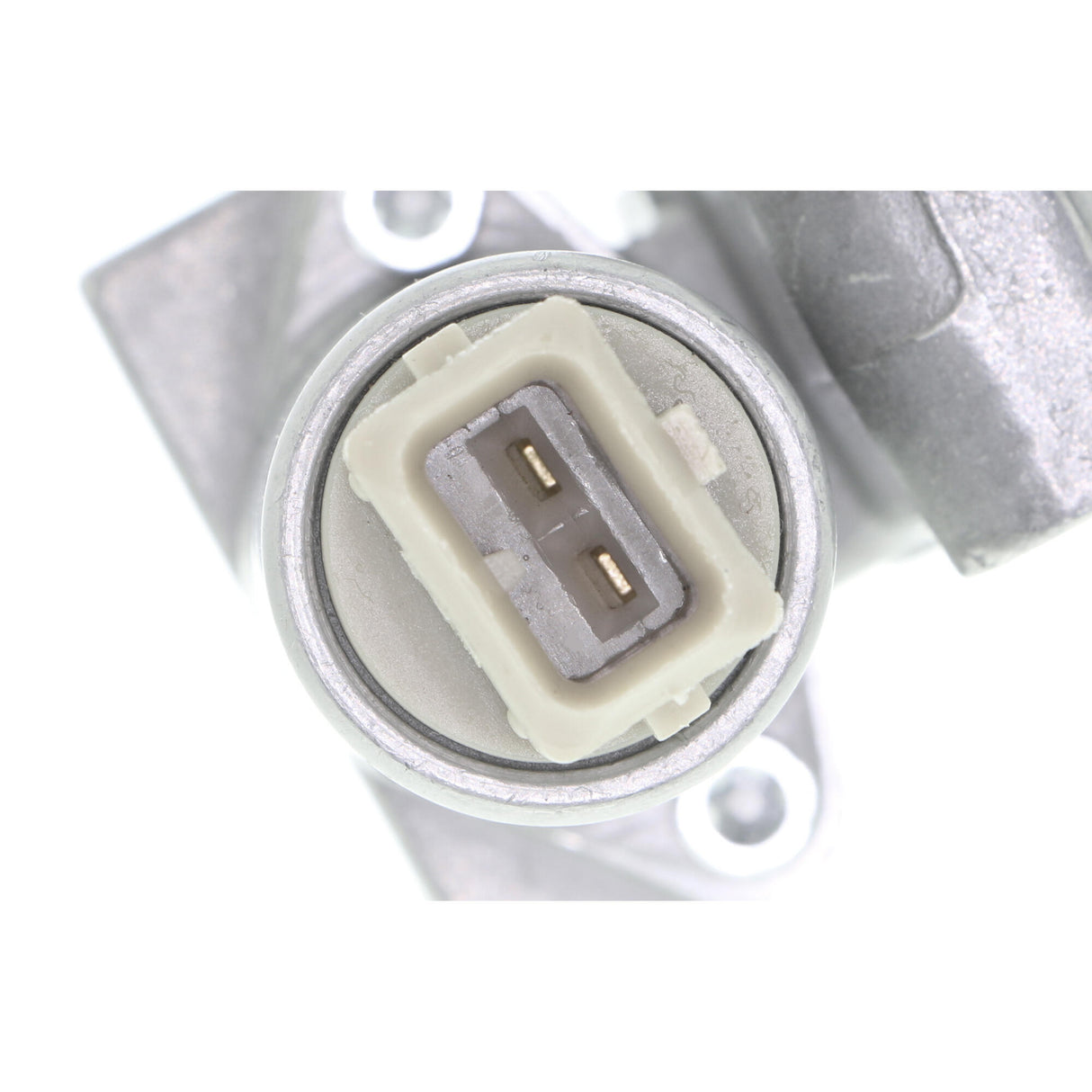 VW Control Valve, camshaft adjustment  - VAICO V10-9866