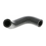 VW Radiator Hose  - VAICO V10-9884