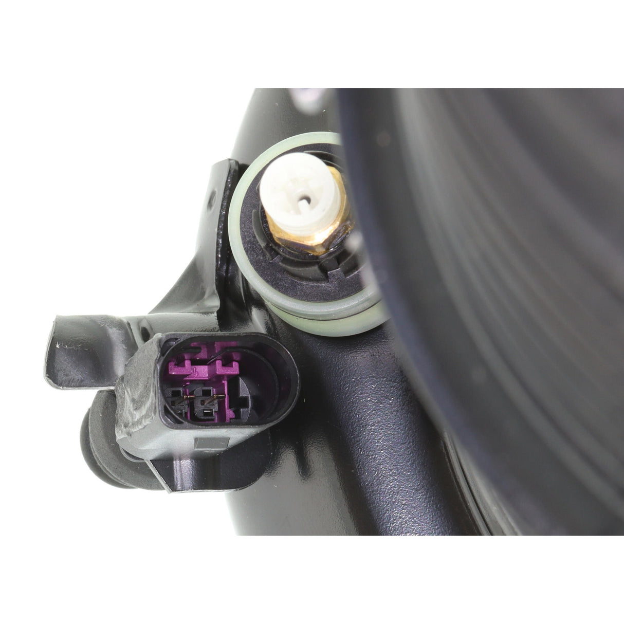 VW Air Suspension Strut  - VEMO V15-50-0015