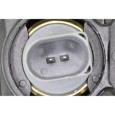 VW Thermostat Housing  - VEMO V15-99-2091