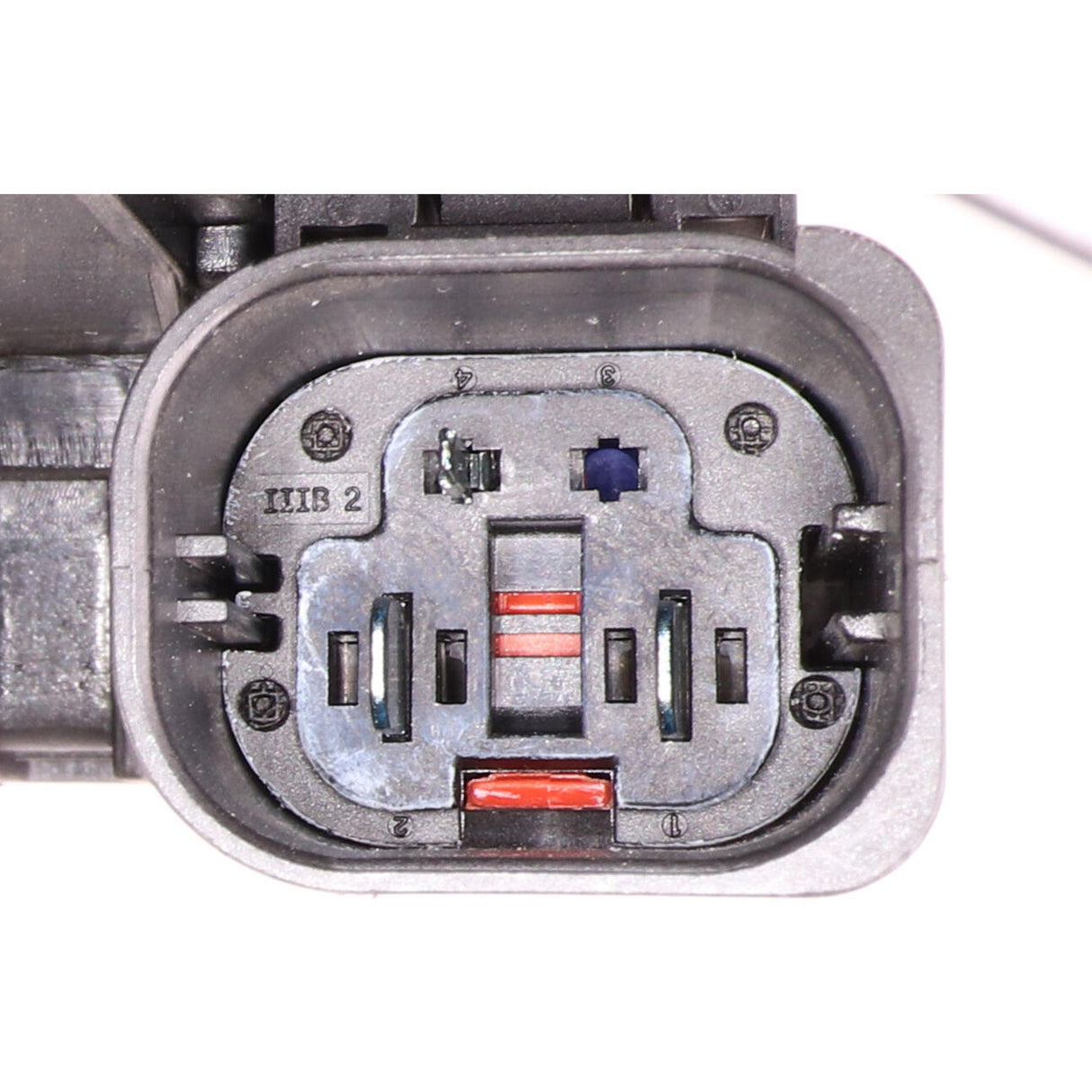 BMW Fan, engine cooling  - VEMO V20-01-0022