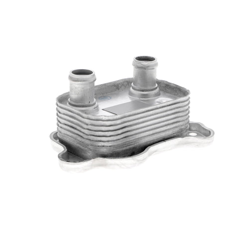 BMW Oil Cooler, engine oil  - VEMO V20-60-0051
