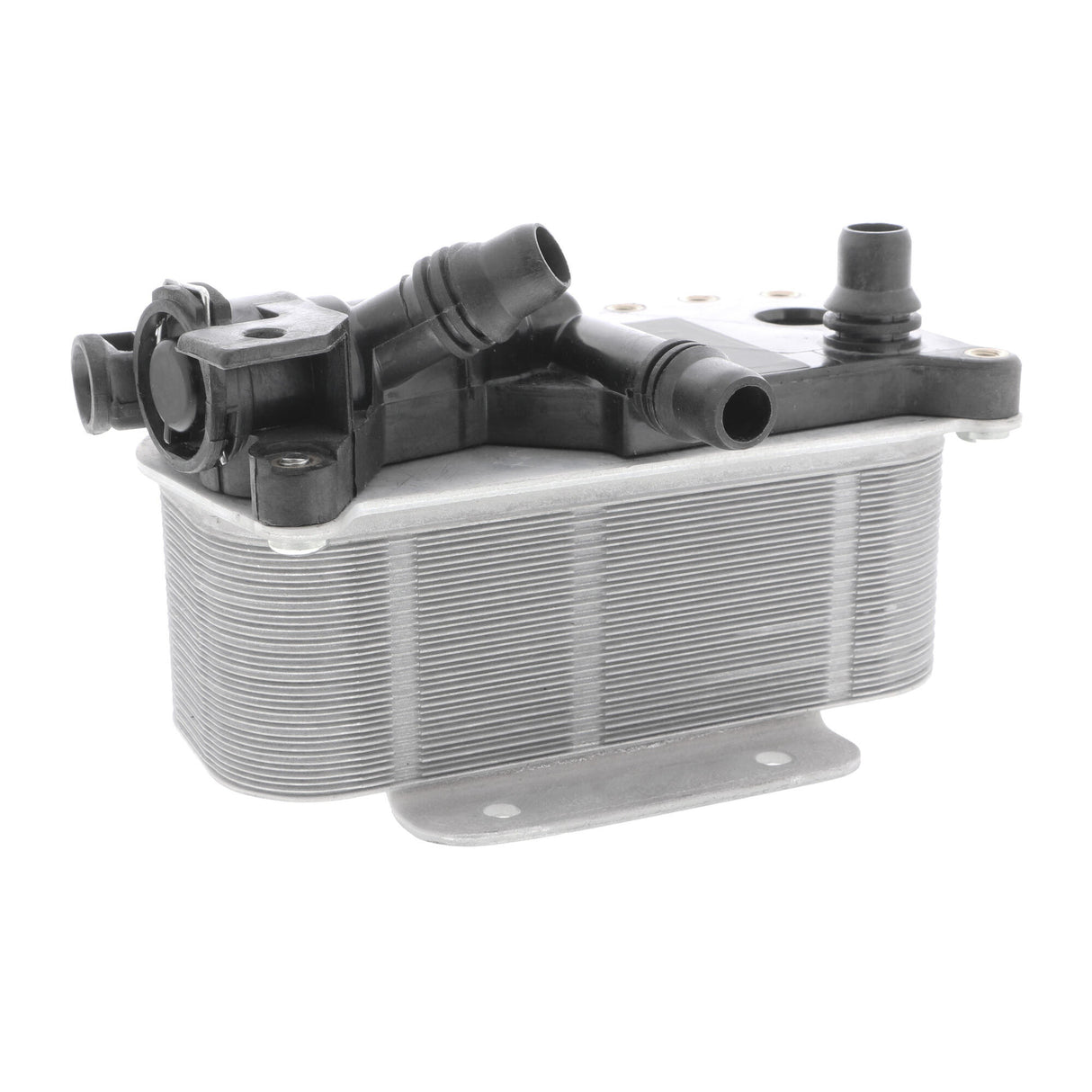 BMW Oil Cooler, automatic transmission  - VEMO V20-60-0059